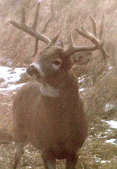 Deer Hunting Trophy